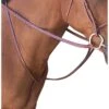 Passport Plain Raised Standing Martingale - Mahogany -Equestrian Supplies Shop 548519 800 800