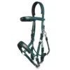 Zilco Marathon Endurance Bridle - Hunter Green -Equestrian Supplies Shop 548522 800 800