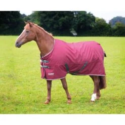 Shires Tempest Original 200 Turnout - Maroon