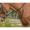Shires Avignon German Martingale - Black 2 Shires Avignon German Martingale - Black -Equestrian Supplies Shop 553701 800 800