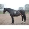 Shires Lunging Aid - Black 2 Shires Lunging Aid - Black -Equestrian Supplies Shop 553776 800 800