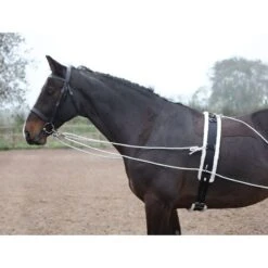Shires Lunging Aid - Black -Equestrian Supplies Shop 553778 800 800