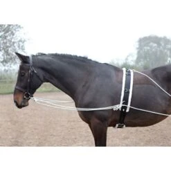 Shires Lunging Aid - Black -Equestrian Supplies Shop 553779 800 800