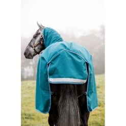 Amigo Bravo 12 Plus Disc Closure Turnout 100g - Storm Green/Turquoise/Aqua -Equestrian Supplies Shop 555738 800 800