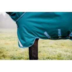 Amigo Bravo 12 Plus Disc Closure Turnout 100g - Storm Green/Turquoise/Aqua -Equestrian Supplies Shop 555740 800 800