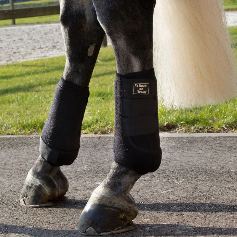 Back On Track Royal Exercise Boots W/Shock Absorbent Pad - Black 5 Back On Track Royal Exercise Boots W/Shock Absorbent Pad - Black - Image 3