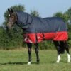 Weatherbeeta Comfitec Plus Dynamic II Detach-A-Neck Medium - Black/Red/Silver 2 Weatherbeeta Comfitec Plus Dynamic II Detach-A-Neck Medium - Black/Red/Silver -Equestrian Supplies Shop 579747 800 800