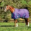 Weatherbeeta Comfitec Essential Standard Neck Heavy - Grape Purple/Blue -Equestrian Supplies Shop 580066 800 800