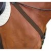 Kincade Elastic Y Fit Breastplate - Brown -Equestrian Supplies Shop 581612 800 800