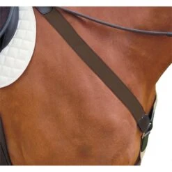 Kincade Elastic Y Fit Breastplate - Brown
