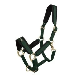 Back On Track Werano Halter - Green