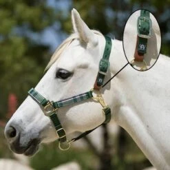 Kensington Premium Breakaway Halter - Desert Sand -Equestrian Supplies Shop 597116 800 800