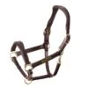 Shires Velociti Rapida Cushioned Leather Headcollar - Havana -Equestrian Supplies Shop 620168 800 800