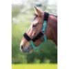 Shires Fleece Lined Headcollar W/Breakaway - Teal -Equestrian Supplies Shop 622830 800 800