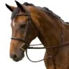 M. Toulouse Novice Hunter Bridle - Cognac 2 M. Toulouse Novice Hunter Bridle - Cognac -Equestrian Supplies Shop 631087 800 800
