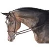 M. Toulouse Annice Hunter Bridle - Chocolate -Equestrian Supplies Shop 631090 800 800