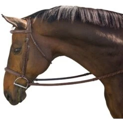 M. Toulouse Platinum Liza/Camden Snaffle Hunter Bridle - Chocolate