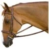 M. Toulouse Brunello Handy Hunter Bridle - Chocolate -Equestrian Supplies Shop 631925 800 800