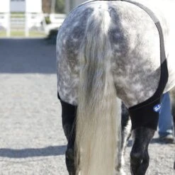 Ice Horse Stifle Wrap - Black -Equestrian Supplies Shop 632120 800 800