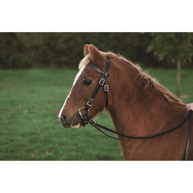 Western Rawhide Plain Pony Bridle With Reins - Dark Brown 4 Western Rawhide Plain Pony Bridle With Reins - Dark Brown - Image 2