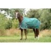 Weatherbeeta Comfitec Plus Dynamic II Standard Neck Lite - Green/Gray/Red -Equestrian Supplies Shop 646256 800 800