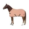 Horze Trixi Pony Fleece Cooler Blanket - Shrimp Pink -Equestrian Supplies Shop 649197 800 800