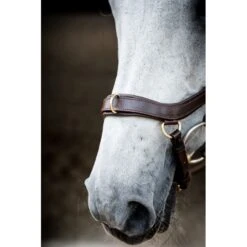 Rambo Micklem 2 Multi Bridle - Dark Havana -Equestrian Supplies Shop 665986 800 800