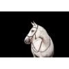 Rambo Micklem 2 Competition Bridle W/Reins - Dark Havana -Equestrian Supplies Shop 666004 800 800