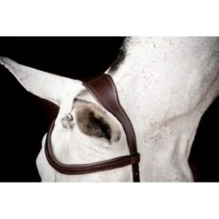 Rambo Micklem 2 Competition Bridle W/Reins - Dark Havana -Equestrian Supplies Shop 666007 800 800
