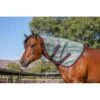 Kensington Signature Textilene Neck Piece - Imperial Jade -Equestrian Supplies Shop 671627 800 800