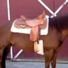 WoolBack Cinch Cover - Natural -Equestrian Supplies Shop 675043 800 800