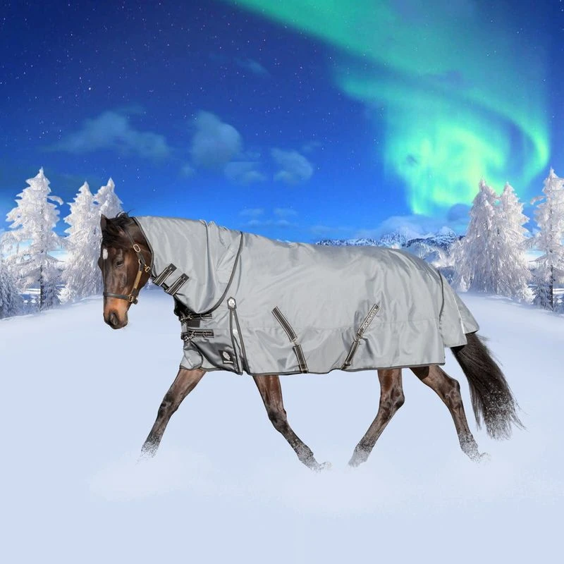 Equinavia Thunder360 Detachable Neck Light Weight Turnout Blanket 100g - Pewter Gray 4 Equinavia Thunder360 Detachable Neck Light Weight Turnout Blanket 100g - Pewter Gray - Image 2