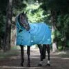 Weatherbeeta Green-Tec 900D Detach-A-Neck Medium Turnout Blanket - Dragonfly Blue/Bottle Green 2 Weatherbeeta Green-Tec 900D Detach-A-Neck Medium Turnout Blanket - Dragonfly Blue/Bottle Green -Equestrian Supplies Shop 680363 800 800