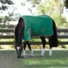 Weatherbeeta Comfitec Prelim Standard Neck Medium - Dark Green/Red/White 1 Weatherbeeta Comfitec Prelim Standard Neck Medium - Dark Green/Red/White -Equestrian Supplies Shop 685655 800 800