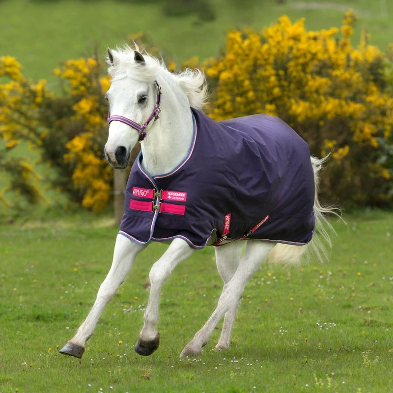 Amigo Hero ACY Pony Turnout - Grape/Pink/White/Powder Blue 3 Amigo Hero ACY Pony Turnout - Grape/Pink/White/Powder Blue