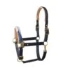 Horze Terrazzo Neoprene Lined Halter With Crystals - Dark Navy -Equestrian Supplies Shop 695161 800 800