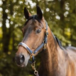 Horze Terrazzo Neoprene Lined Halter With Crystals - Dark Navy -Equestrian Supplies Shop 695162 800 800
