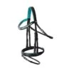Horze Magical Carousel Pony Bridle W/Crystal Curved Noseband - Green Blue Slate -Equestrian Supplies Shop 696143 800 800