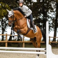 Horze Smoky Twilight Air Mesh Ear Net - Quiet Grey -Equestrian Supplies Shop 698836 800 800