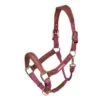 Shires Velociti Lusso Leather Breakaway Padded Halter - Burgundy -Equestrian Supplies Shop 708306 800 800